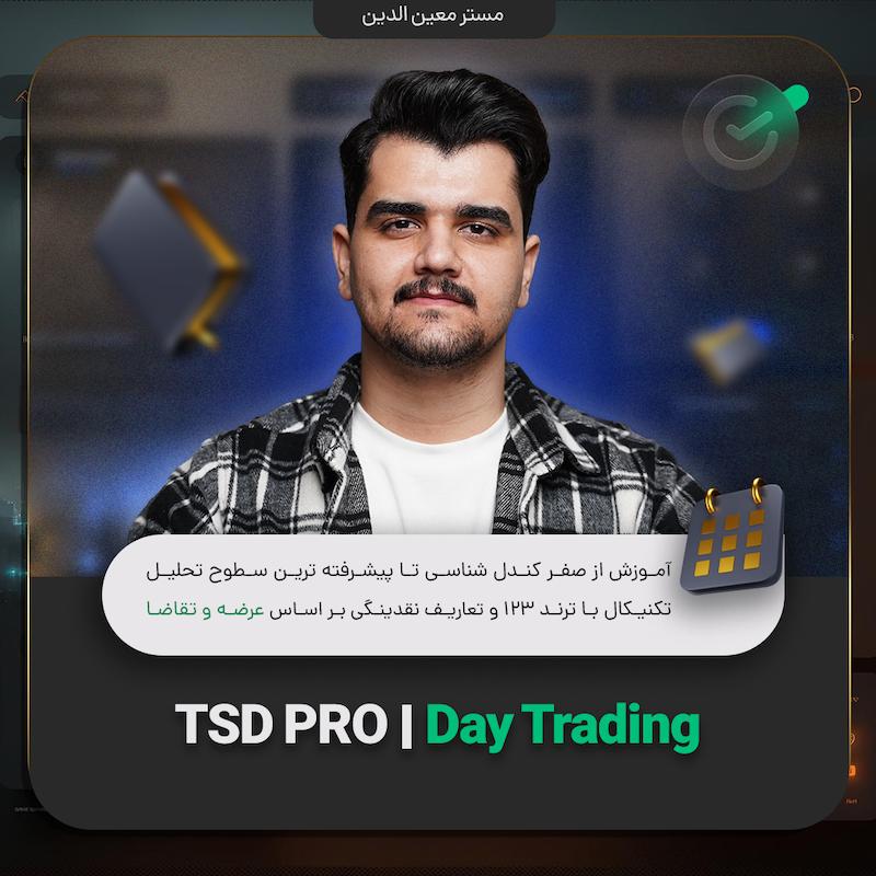 TSD PRO 
