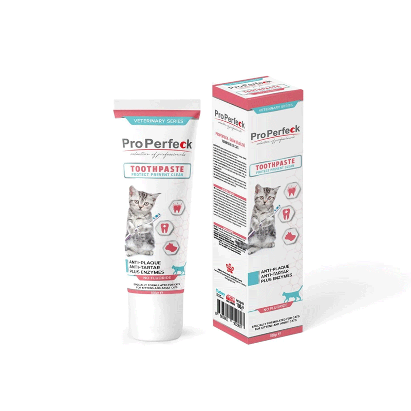 خمیر دندان گربه پروپرفک ProPerfeck ToothPaste Cat وزن 100 گرم