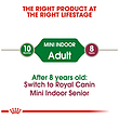 غذای خشک سگ نژاد کوچک رویال کنین Royal Canin Mini Indoor Adult