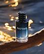 ادکلن مردانه ساواچ دیور 100 میل sauvage dior