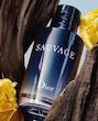 ادکلن مردانه ساواچ دیور 100 میل sauvage dior