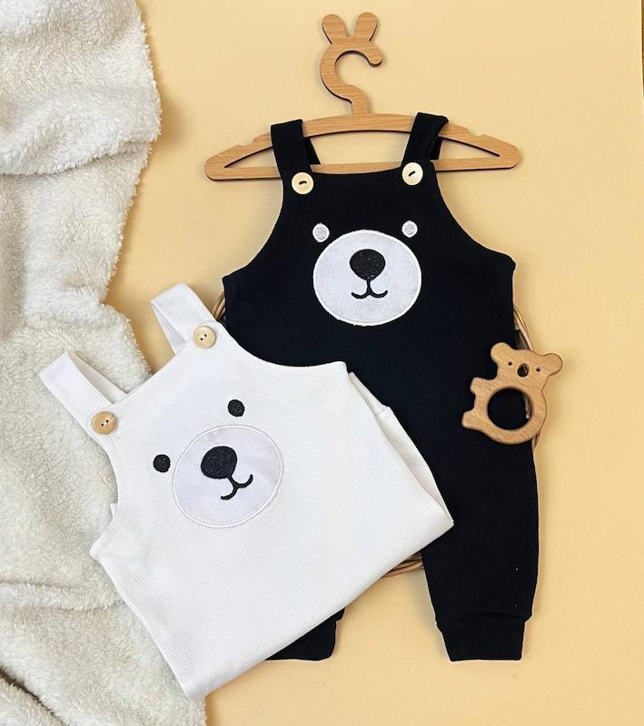 بیلر بیسکوییتی