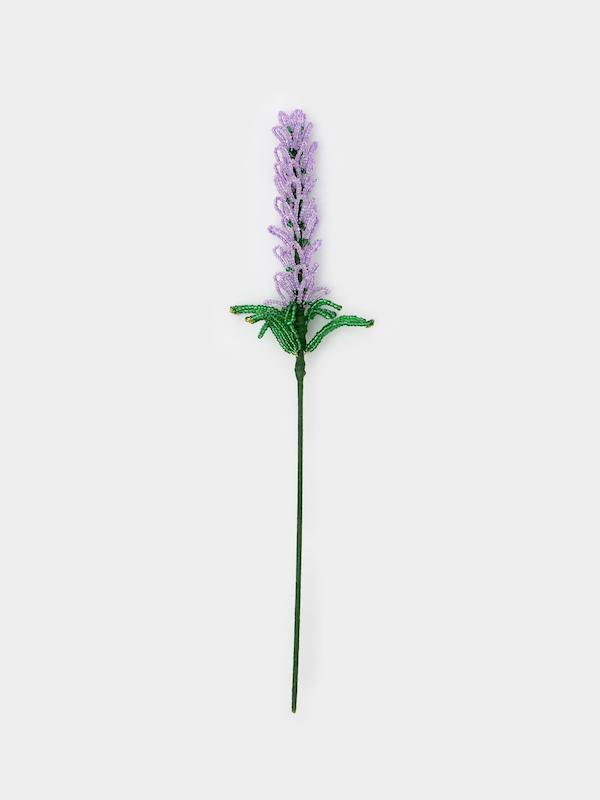 گل منجوقی لوندر