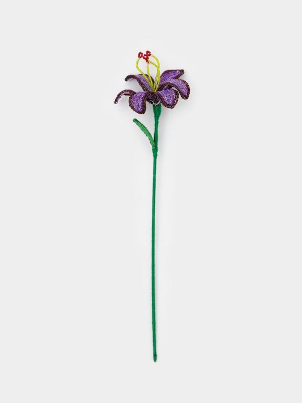گل منجوقی تایگر لیلی