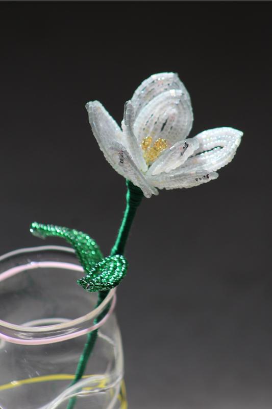 گل منجوقی مگنولیا