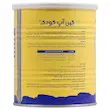 پودر گین آپ کودکان کارن 300 گرم 