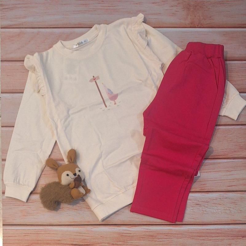 ست غاز جهانگرد 