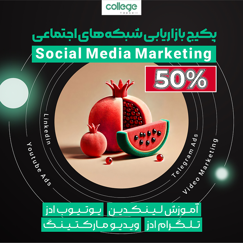 پکیج بازاریابی شبکه‌های اجتماعی (Social Media Marketing)