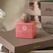عطر ادکلن آمواج گایدنس هارد باکس 25 میل