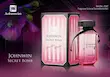 عطر ادکلن زنانه ویکتوریا سکرت بامب شل جانوین سکرت بمب (Johnwin Victoria Secret Bombshell) 