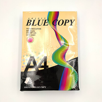 کاغذ رنگی کپی سایز BLUE COPY A4 پنج 5 رنگ