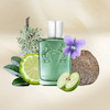 عطر مردانه گرینلی از برند مارلی