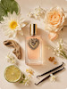 عطر زنانه Devotion از D&G