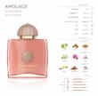 عطر زنانه گایدنس آمواج | Amouage Guidance
