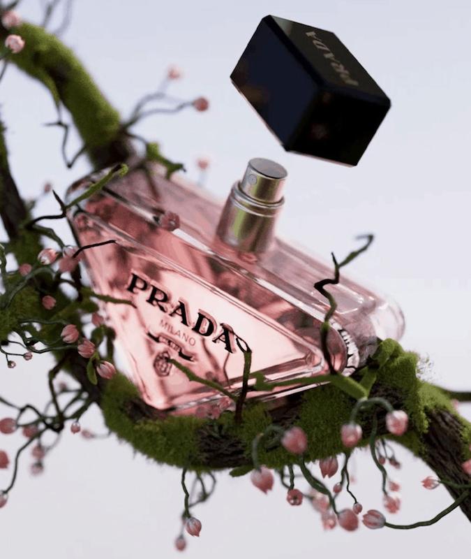 عطر زنانه Prada paradox 