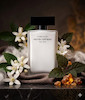 عطر زنانه Pure Musc از Narciso Rodriguez