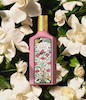 عطر زنانه Gucci Flora Gorgeous Gardenia