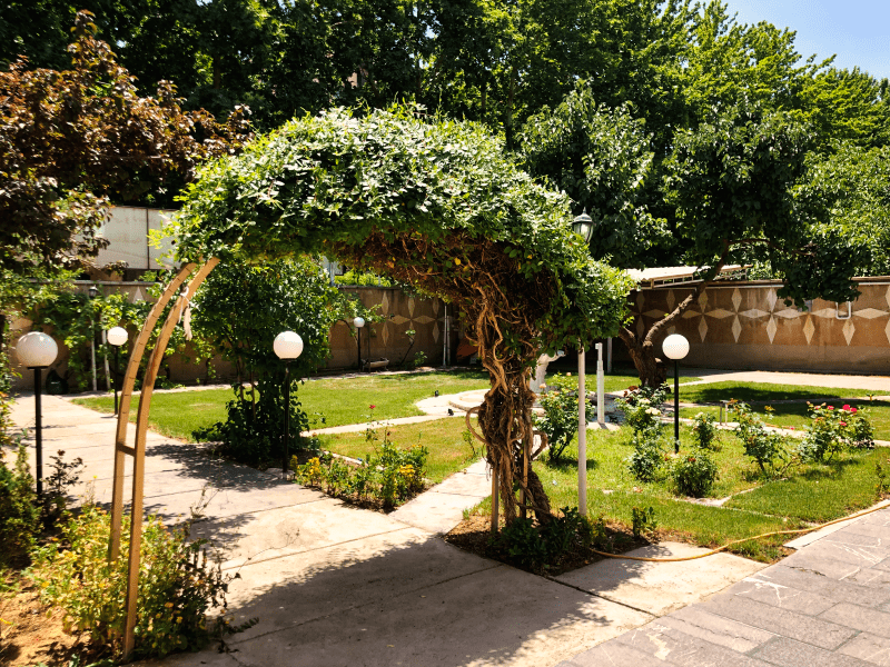 محوطهسازی سبز مدرسه