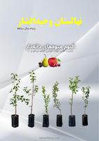 آلبوم دانه‌دار