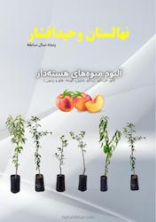 آلبوم هسته‌دار