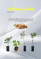 آلبوم دانه خشک