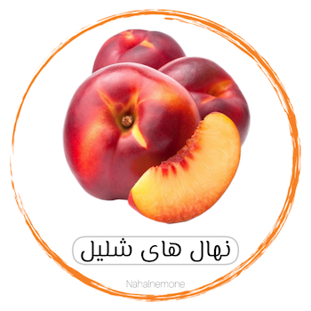 انواع شلیل