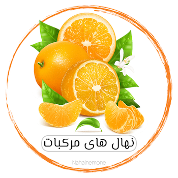 انواع مرکبات