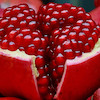 نهال انار ساوه