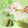 علف گربه Cat Grass