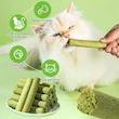 علف گربه Cat Grass