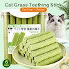 علف گربه Cat Grass