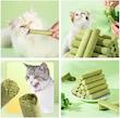 علف گربه Cat Grass