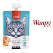 پودینگ ونپی انگلیسی نویس Wanpy