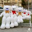 عروسک خرس سفید ولنتاین با ارسال رایگان در 5 سایز مختلف 