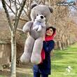 عروسک خرس طوسی با ارسال رایگان در 5 سایز