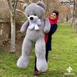 عروسک خرس طوسی با ارسال رایگان در 5 سایز