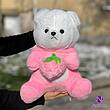 عروسک خرس لباس لاتسو توت فرنگی به دست ارسال رایگان ، عمده و تک