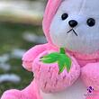 عروسک خرس لباس لاتسو توت فرنگی به دست ارسال رایگان ، عمده و تک