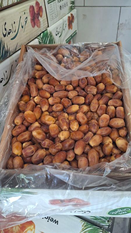 زاهدی