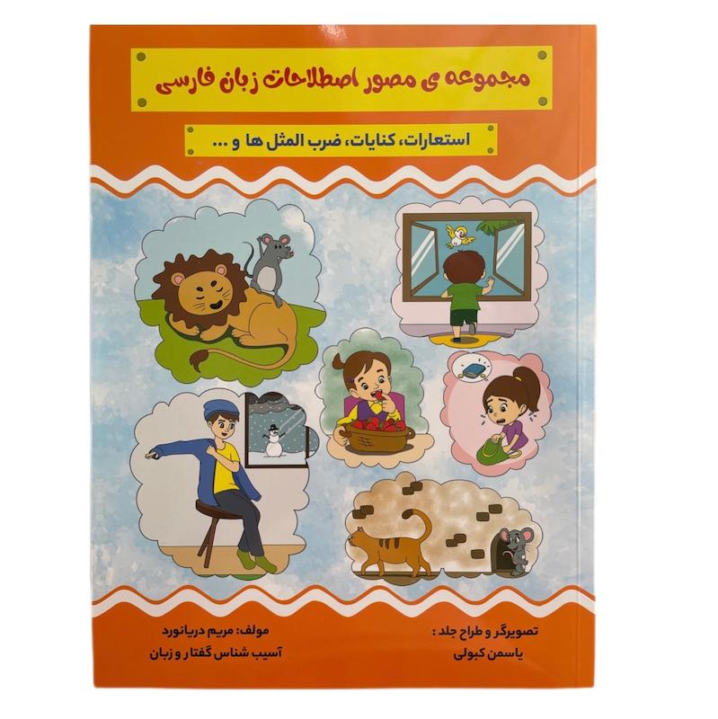 کتاب مجموعه مصور اصطلاحات زبان فارسی اثر مریم دریانورد