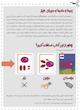 ببر، بچین، بچسبان -دست به کار ۱