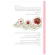 احساسات کودک من کتاب آموزش 