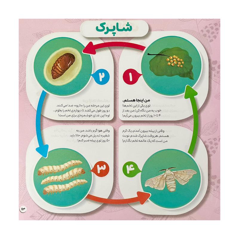 جورچین چرخه ی جانوران و گیاهان کتاب + پازل ۴۰ تکه