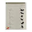 کتاب بازی با سایه ها پیش دبستانی