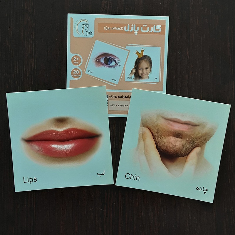 فلش کارت اعضای بدن