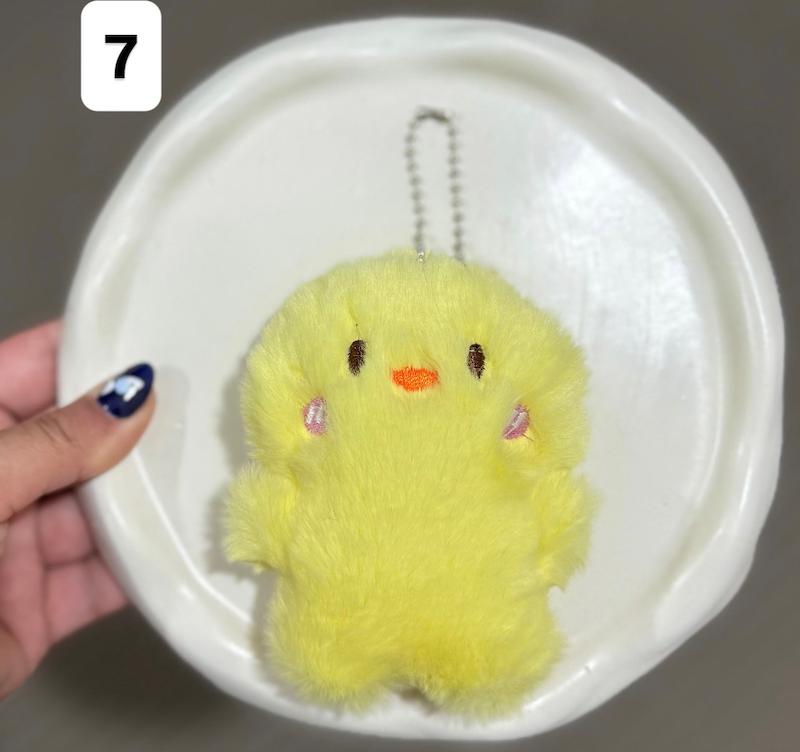 چارم بگ جوجه