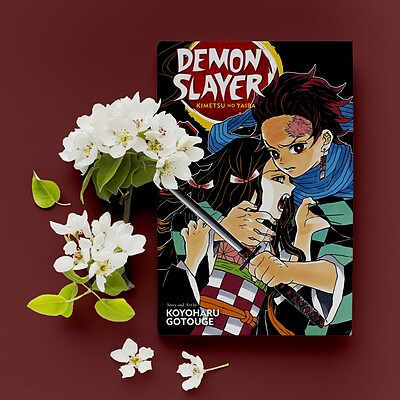 مانگا Demon Slayer