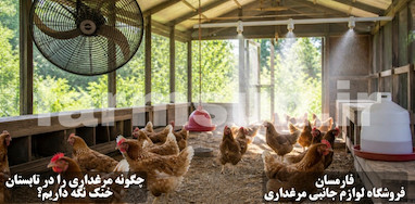 چگونه مرغداری خانگی را در تابستان خنک نگه داریم؟