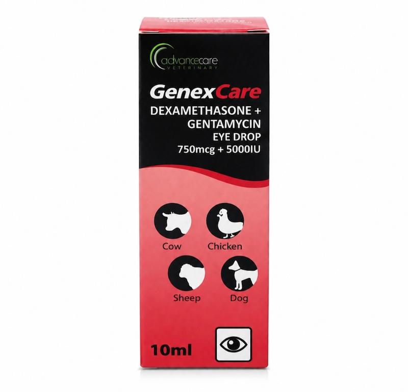 قطره چشمی حیوانات جنکس کر (حاوی دگزامتازون و جنتامایسین ) محصول شرکت ادواکر آمریکا / Genex care