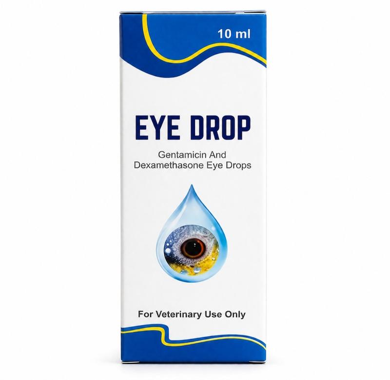 قطره چشمی پرندگان آی دراپ Eye drop
